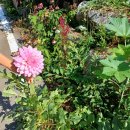 유천1리마을회관 이미지