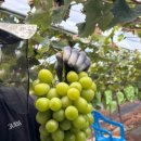 웅이네 농장 이미지