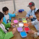 용문초등학교 이미지