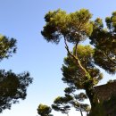 송정솔바람해변 주차장 이미지