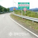 공단로가로수 이미지