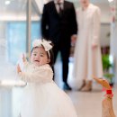 효천동물병원 | [전주 돌스냅] 전주 궁한정식 운담홀 돌잔치 스냅 후기