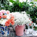 한아름김밥 이미지