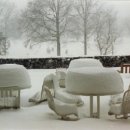 서초당약국 이미지