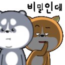 맘모스25시마트 이미지