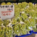 송산농산 네이버블로그