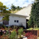 꽃섬나드리 이미지