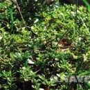 정가네농장 이미지