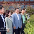 여수관광개발