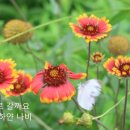 [정오의길목] 김정호 -하얀나비 / 심은경(수상한 그녀) 이미지