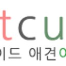 펫큐브 이미지