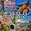 속초물산