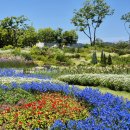 순천만국가정원 이미지