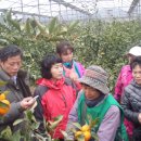 호제농장 이미지