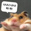 조쌍봉농장 | 수 있다고 생각해 본 적 있는가? 현실이 될 수 있으니 각오해라_ 우즈(Woodz) Archive. 1 막콘 후기 (1)