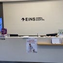 아인스동물병원 이미지