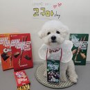 개린이세상 | 임신 24-25w 기록ღ / 공포의 임당 검사 (재검 후기) , 입체 초음파