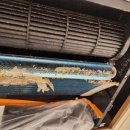 토탈크린 이미지