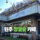 [아이체험] 아이와 함께 가기 좋은 실내동물체험카페 원주 정글숲｜강원도 여행 추천 코스