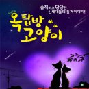 옥탑방 고양이 이미지