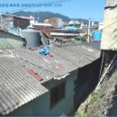 산호동520 이미지