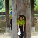 구산-009 이미지