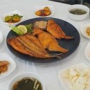 안면애견펜션프리독 이미지