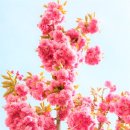 (주)한진모터스 이미지