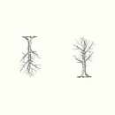 원예생활지도사 이미지