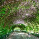 냉천어촌체험휴양마을 이미지