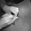 지경희동물병원 이미지