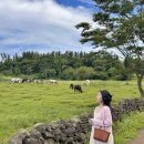 송지목장 이미지