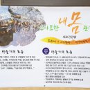 의림대로(1)L 네이버블로그