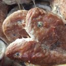 구주령 산채농원 이미지