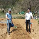 바이오농장 이미지