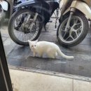 오드바버샵 네이버블로그