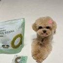 (주)우리덴탈 | 강아지 치석 관리, 미루다 후회하기 전에 닥터이너피스 덴탈껌 오랄프레시 덴타링 (후코이단) 급여 후기