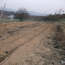 옥천 농장 이미지