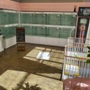 울산애견미용 러빙도기 이미지