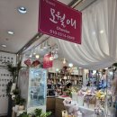 오월애 | 대전 둔산동 꽃집 오월애 플라워 방문 후기