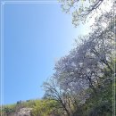 초성4리 마을회관 티스토리