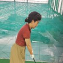 남산골프연습장(실외) 이미지