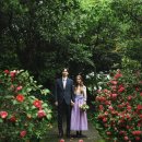 노을숲제주 이미지