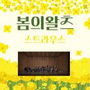 사쓰만사우스바이올린학원