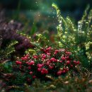 우리봄심리상담센터 이미지