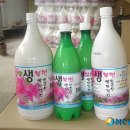 창원북면막걸리 뉴시스