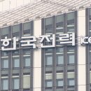 10년간 한국전력 태양광 겸직 비리 88건 경징계 85% 기사 이미지