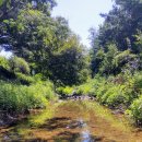 푸르내마을 이미지