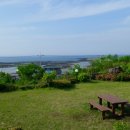 바다파파 이미지