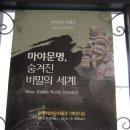 잉카마야박물관 이미지